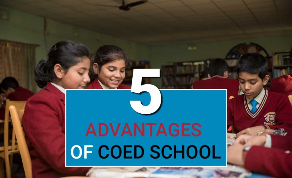 5 Advantages of Co-ed School