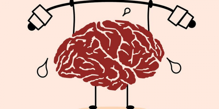 Building a healthy brain