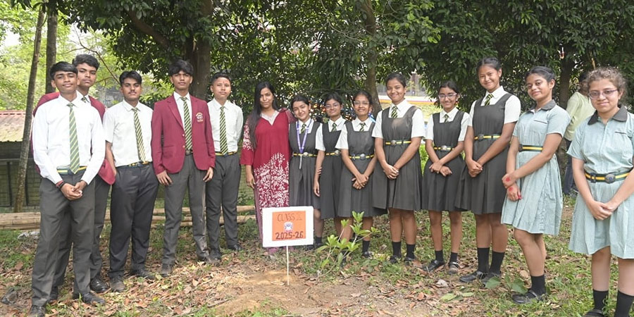 Co-Curricular Activities